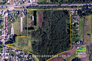 90G 2 TOP.00_00_30_10.Quadro008_d302d9b3294d8953fae42873fbfeaae31b18cf65.jpg